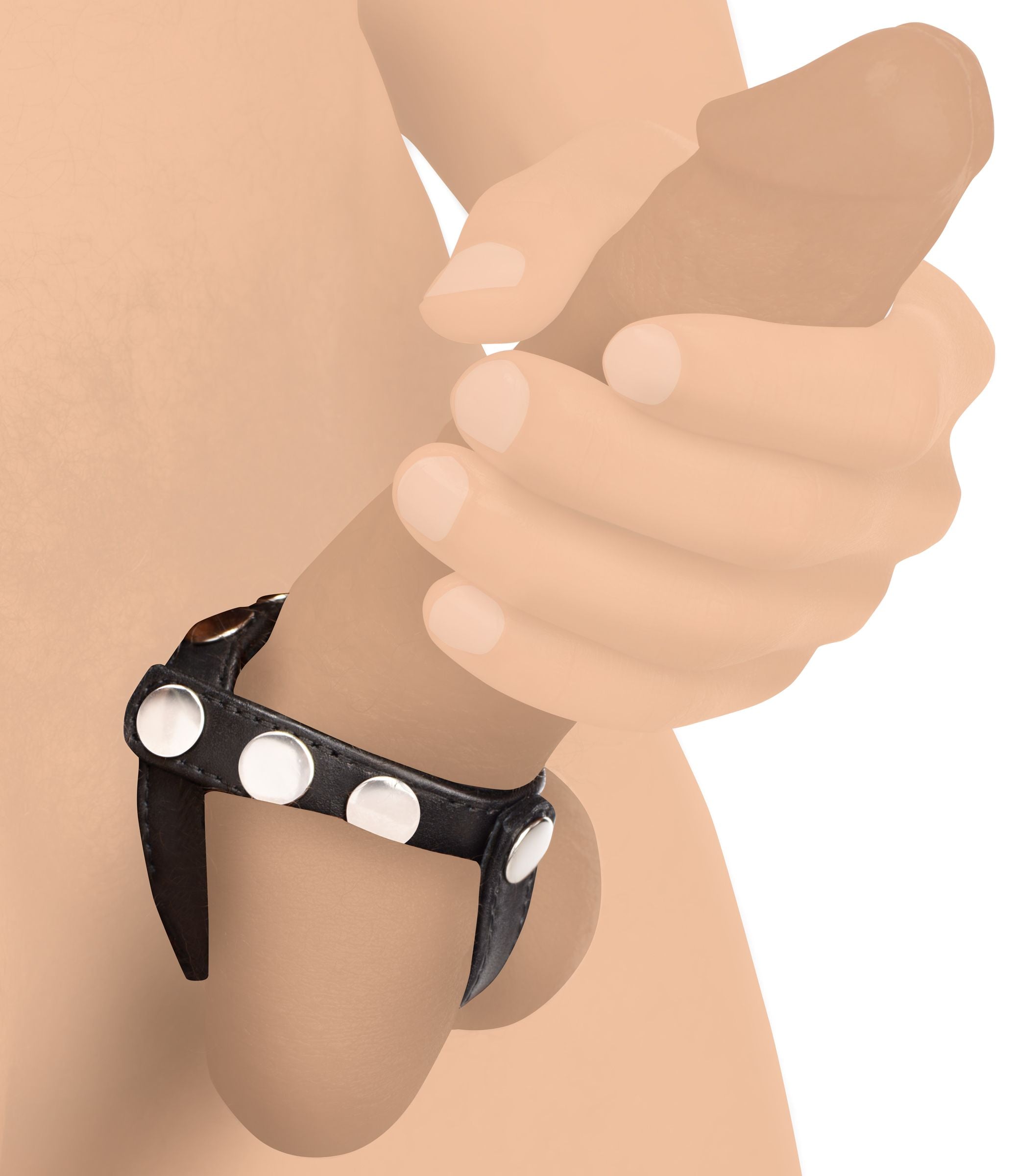 Cock Gear Verstelbare Leren Cock en Balring Met Studs - Zwart